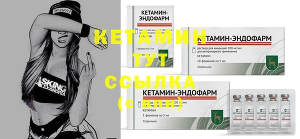 трава Арсеньев