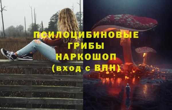ешки Алексин
