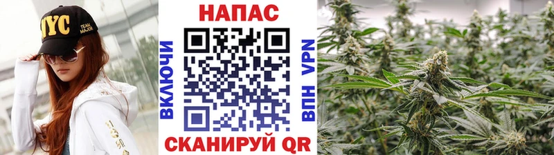 Конопля ГИДРОПОН  хочу   Константиновск 